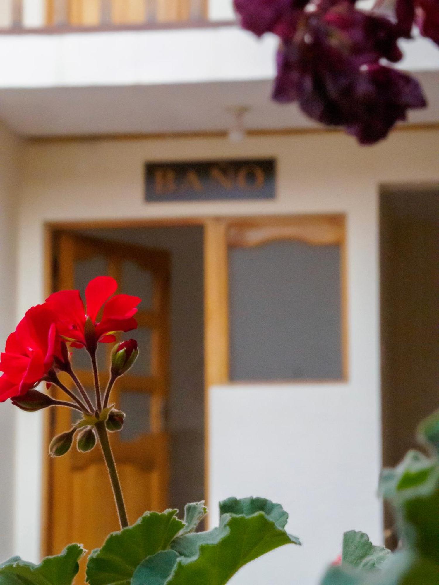 Los Faroles Hostal Potosí Екстериор снимка